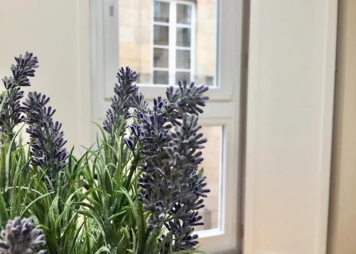 Catedral Centro Historico Apartament *